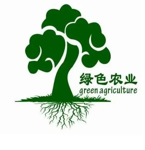 青少年篮球“绿色通道”建设加快，推动绿色低碳运动方式的简单介绍